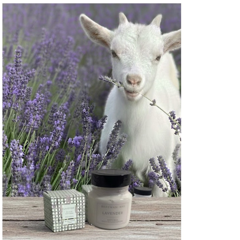 Beekman 1802 Lavender Goat Milk Whipped Body Cream 8 oz New in Box